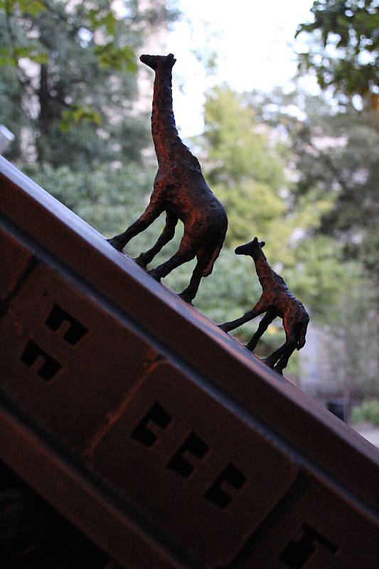 Canon T6 review -- Sample photo