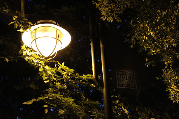 Canon T6 review -- Sample photo