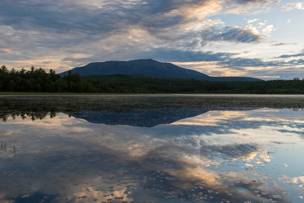 Canon T6i Review -- Gallery Image