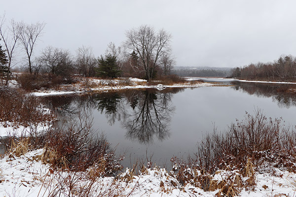Canon EF-S 18-135mm f/3.5-5.6 IS STM at 18mm (29mm eq.), f/5.6, 1/250s, ISO 100. This image