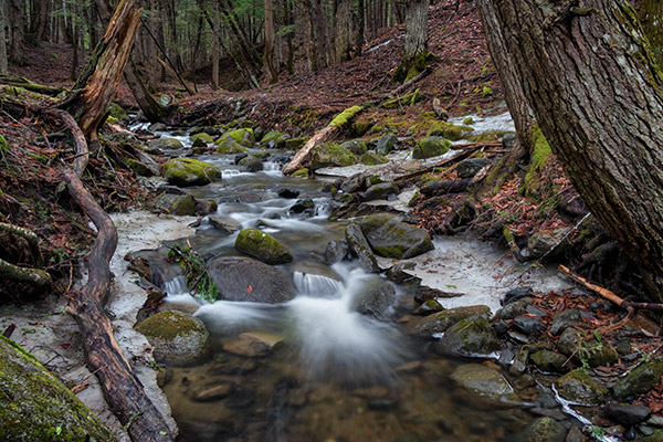 Canon EF-S 18-135mm f/3.5-5.6 IS STM at 18mm (29mm eq.), f/8.0, 2.5s, ISO 100. This image