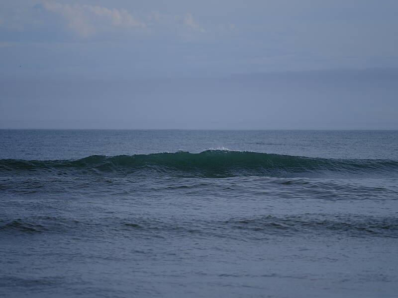 Click to see Y-DP-F8990.JPG