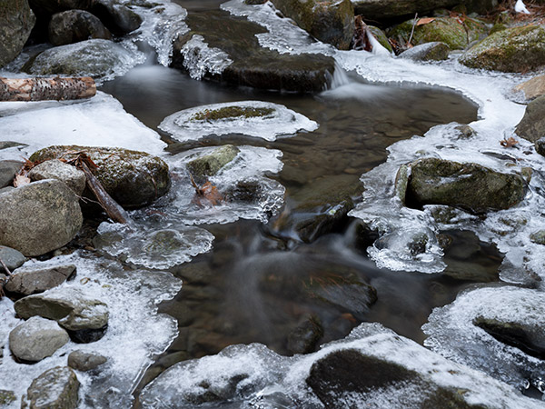 Fujifilm GFX 50R Review: Field Test -- Gallery Image