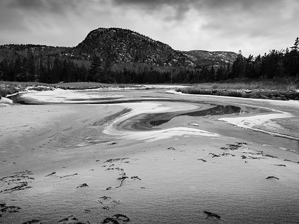 Fujifilm GFX 50R Review: Field Test -- Gallery Image