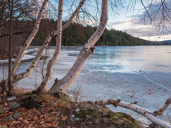 Fujifilm GFX 50R Review: Field Test -- Gallery Image