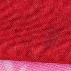 100% crop from Fujifilm GFX test image taken at ISO 100