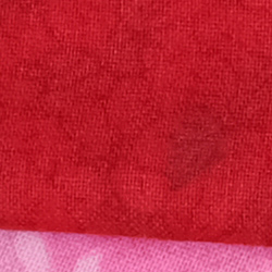 100% crop from Fujifilm GFX test image taken at ISO 1600