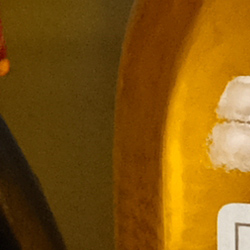 100% crop from Fujifilm GFX test image taken at ISO 1600
