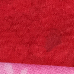 100% crop from Fujifilm GFX test image taken at ISO 3200