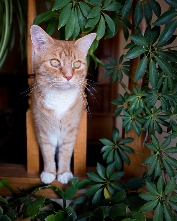 Fujifilm GFX Review: Field Test -- Gallery Image