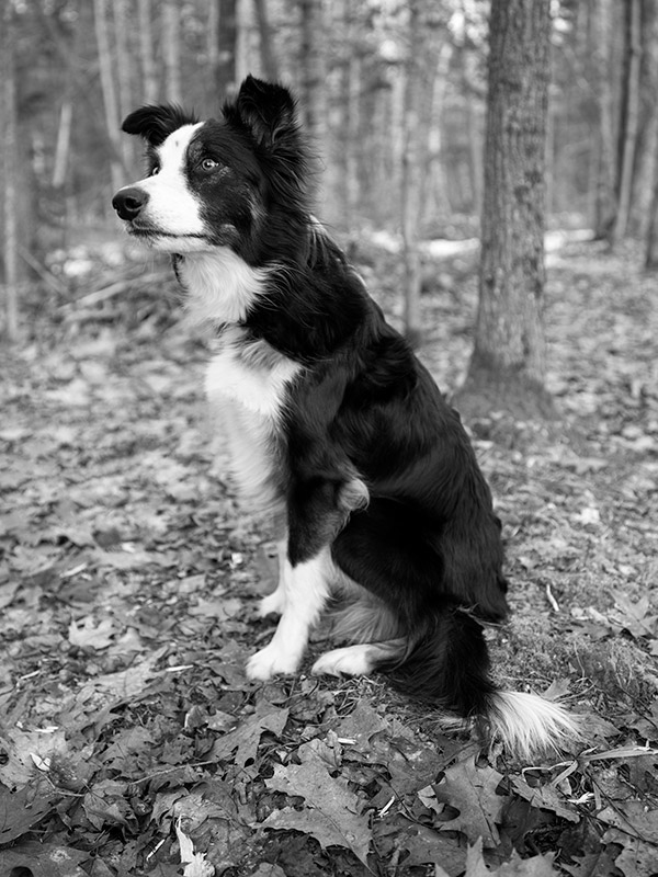 Fujifilm GFX Review: Field Test -- Gallery Image