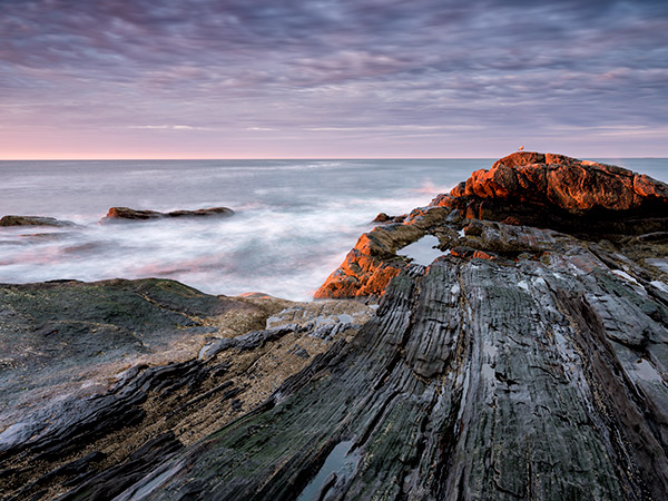 Fujifilm GFX Review: Field Test -- Gallery Image