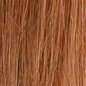 X-A5 Exposure image 19