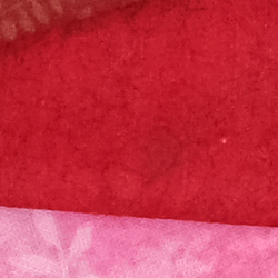 100% crop from Fujifilm X-H1 test image taken at ISO 1600
