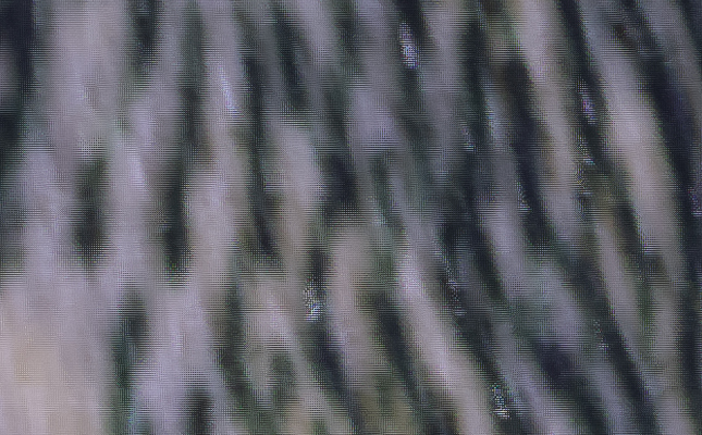 X-H2 Overview image 22