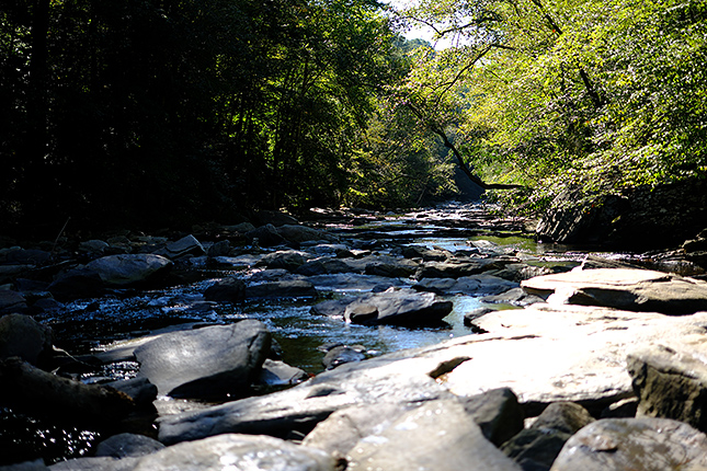 XF 33mm F1.4: 33mm, F1.4, 1/2200s, ISO 125, -0.3EVs (Velvia Film Simulation)