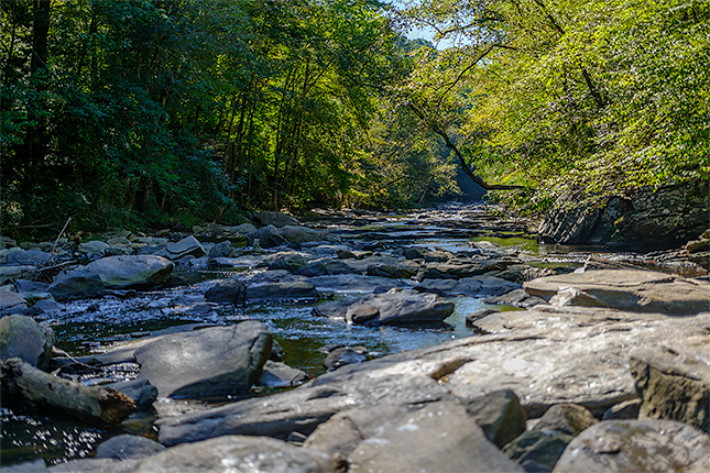 A rather heavily edited version of the raw file in Lightroom with adjustments to shadows and