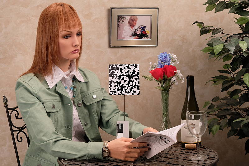 Click to see XPRO2INBAP2.JPG