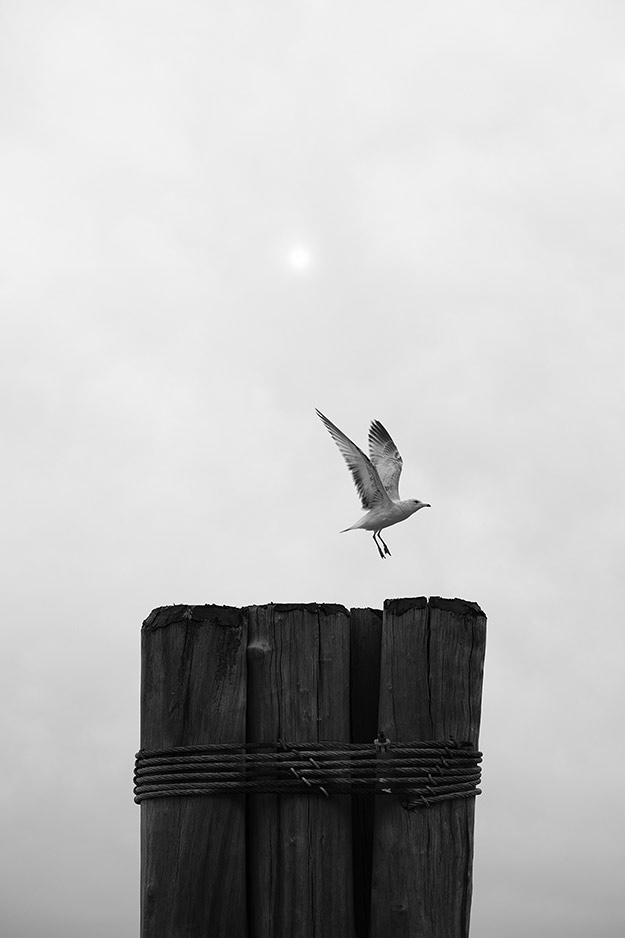 Fuji X-Pro2 Review - Sample gallery image