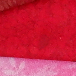 100% crop from Fujifilm X-T100 test image taken at ISO 1600
