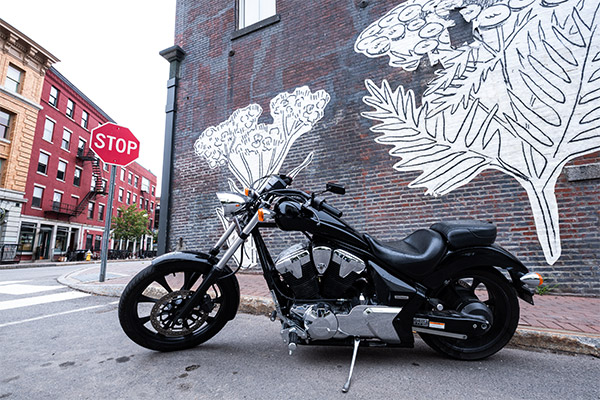 Fujifilm X-T100 Review: Field Test -- Gallery Image