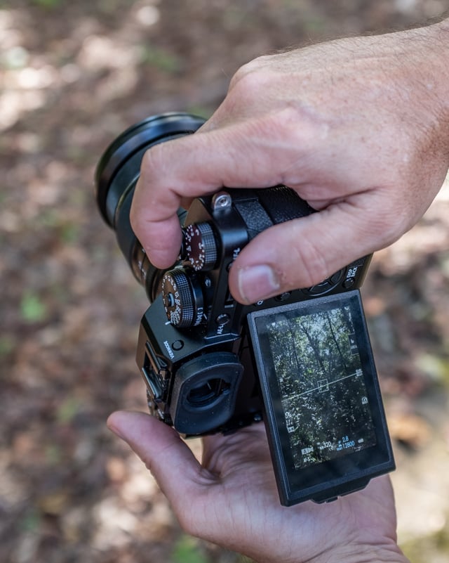 X-T3 Field Test Part III image 6