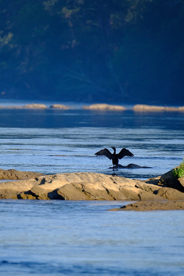 XF 100-400mm f/4.5-5.6: 400mm, f/5.6, 1/1000s, ISO 640