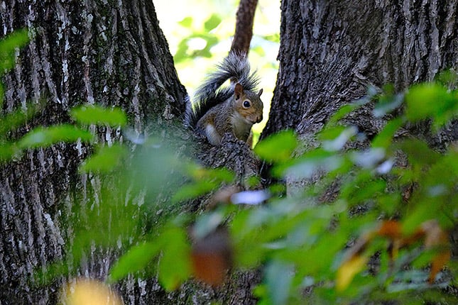 XF 100-400mm f/4.5-5.6: 400mm, f/5.6, 1/640s, ISO 12800