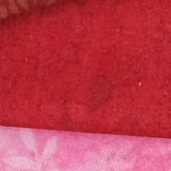 100% crop from Fujifilm X-T30 test image taken at ISO 160