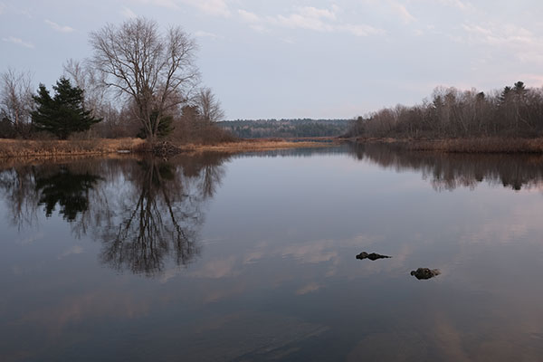 Fuji X-T30 Review: Field Test -- Gallery Image