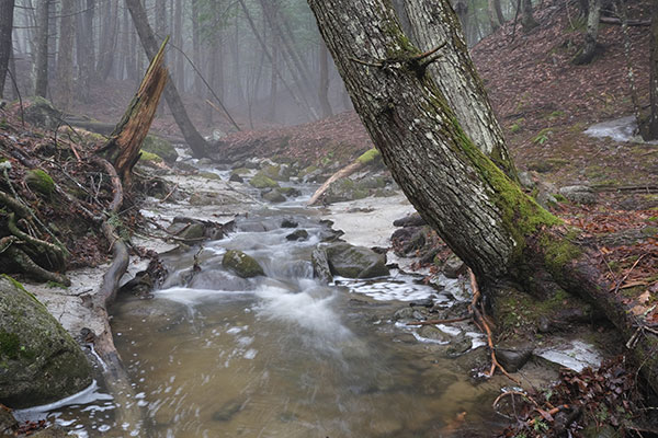 Fuji X-T30 Review: Field Test -- Gallery Image