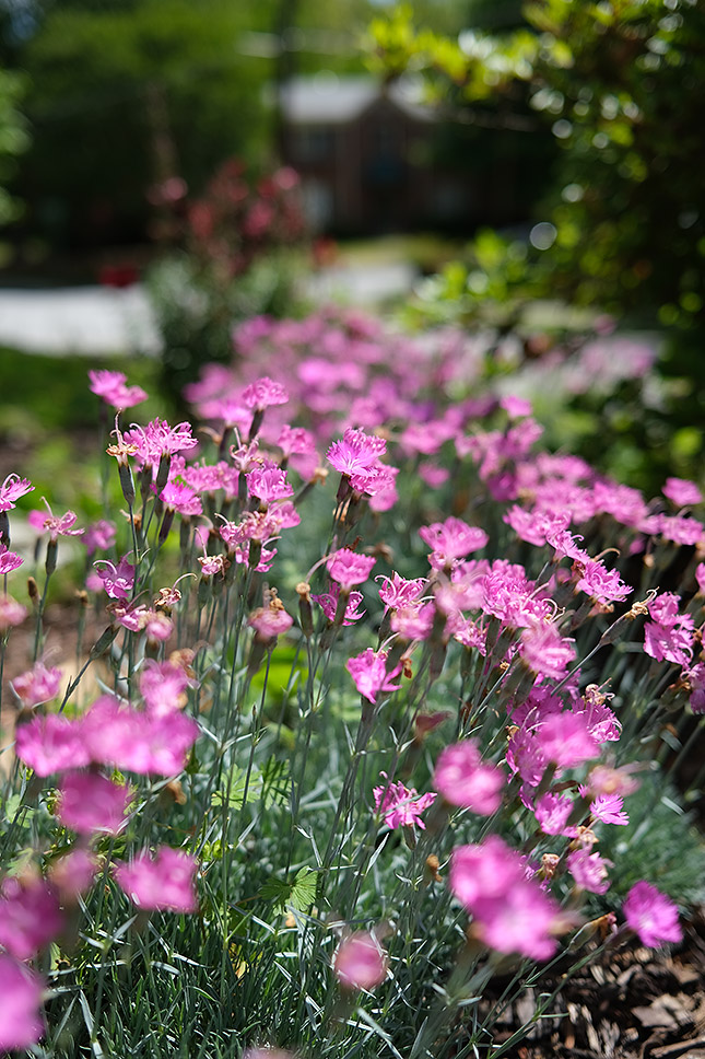 f/2.2, 1/2500s, ISO 160
