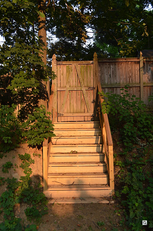 D3200 Overview image 19