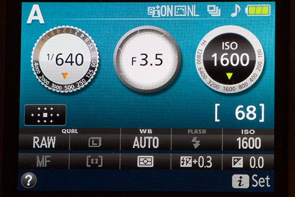 Nikon D3300 Review -- D3300 skeuomorphism