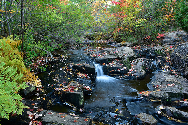 Nikon D3400 Review: Field Test -- Gallery Image