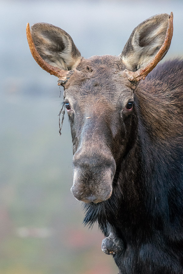 Nikon D3400 Review: Field Test -- Gallery Image