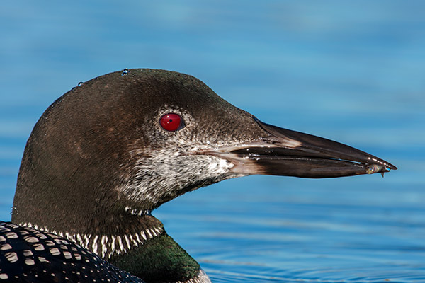 Nikon D3400 Review: Field Test -- Gallery Image