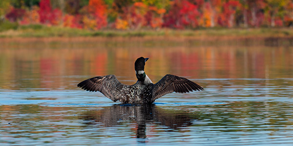 Nikon D3400 Review: Field Test -- Gallery Image