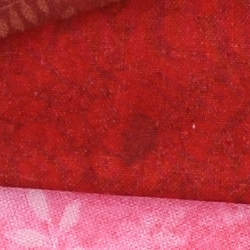 100% crop from Nikon D3500 test image taken at ISO 100