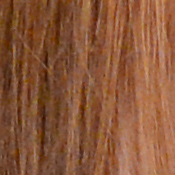 D4 Exposure image 30