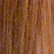 D4 Exposure image 32