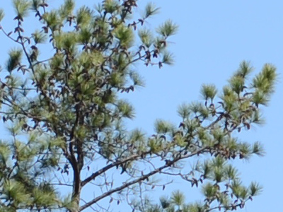 D4 Exposure image 22