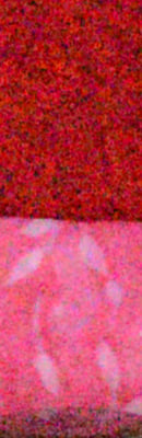 D4 High ISO Noise Reduction image 121