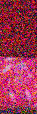 D800 RAW Files image 133