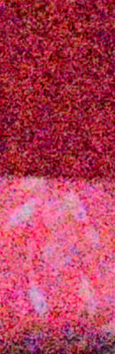 D4 High ISO Noise Reduction image 146