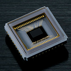 D4 Overview image 13