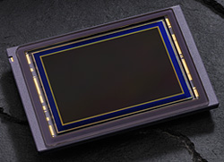 D4 Overview image 9