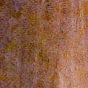 D4S Exposure image 40