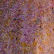 D4S Exposure image 41