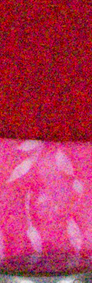 D4S High ISO Noise Reduction image 93